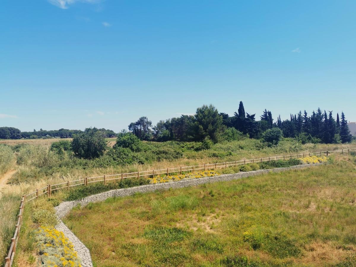 Appartement à 15 minutes des plages et de Montpellier Villeneuve-lès-Maguelonne Esterno foto